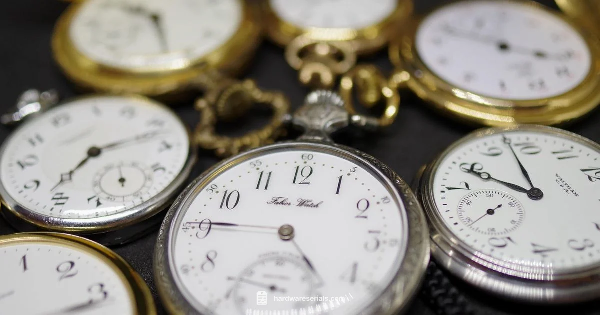 Pocket Watch Valuation - Hardware Serials