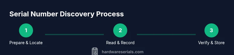 Process flow showing locate-read-verify serial numbers