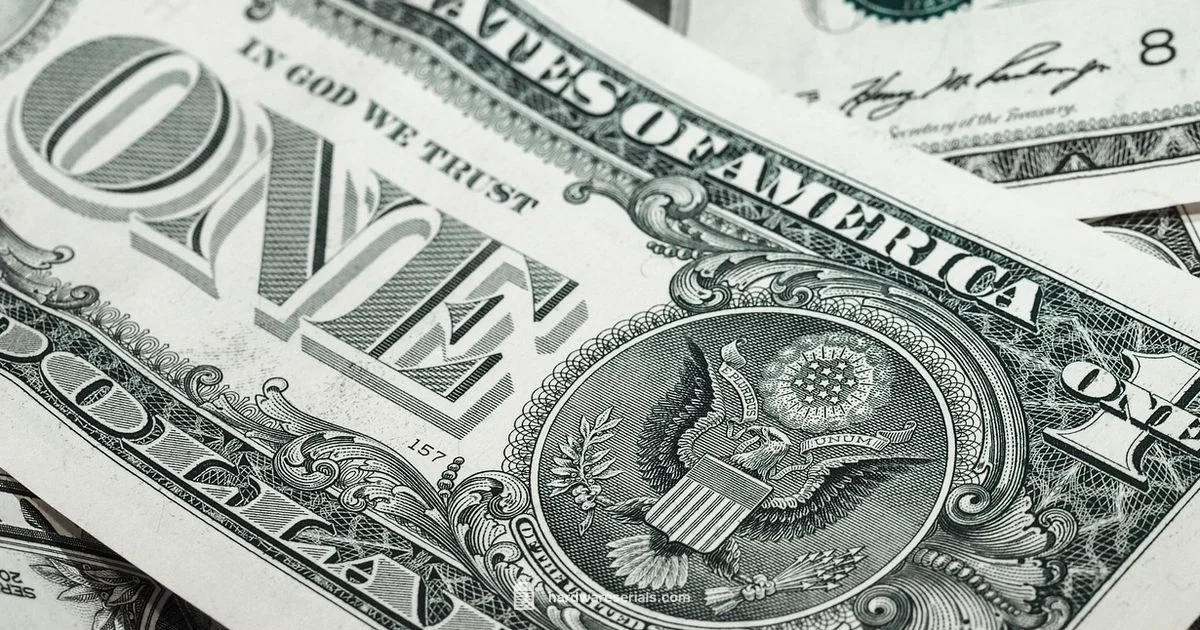 Serial Lookup for Banknotes - Hardware Serials