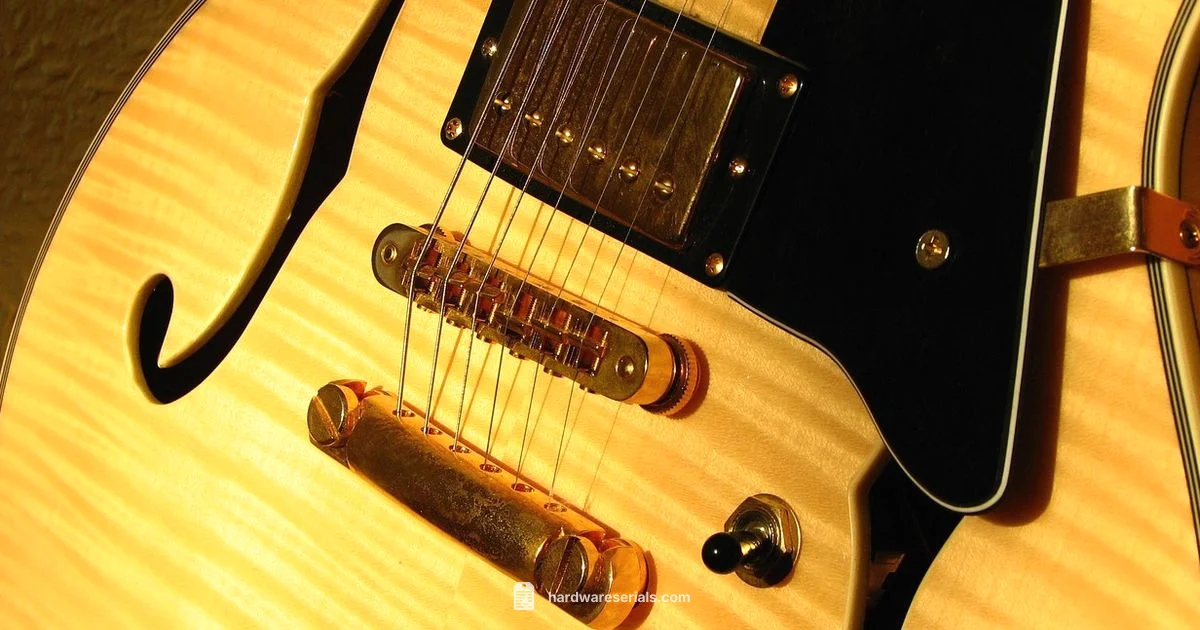 Find The Serial - Hardware Serials