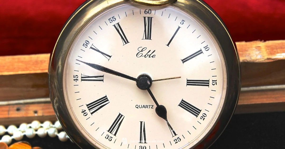 Hampden Serial Value - Hardware Serials