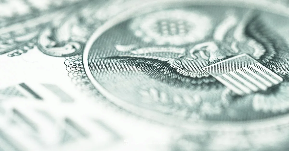 1988 Serial Lookup - Hardware Serials