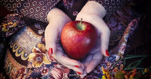 Apple Serial Lookup - Hardware Serials