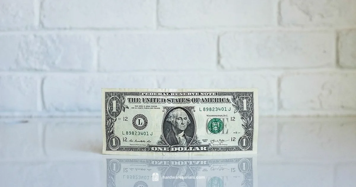 Rare Serial Numbers - Hardware Serials