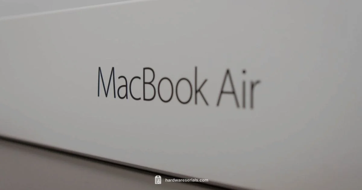 Box Serial Lookup Box Serial Lookup - Hardware Serials