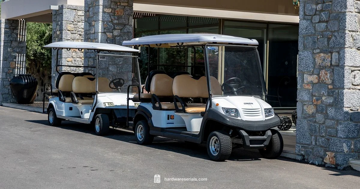 EZGO Serial Lookup - Hardware Serials