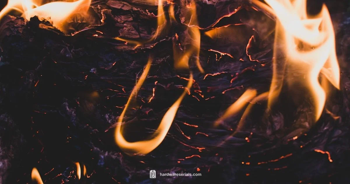 Serial Lookups Made Easy - Hardware Serials