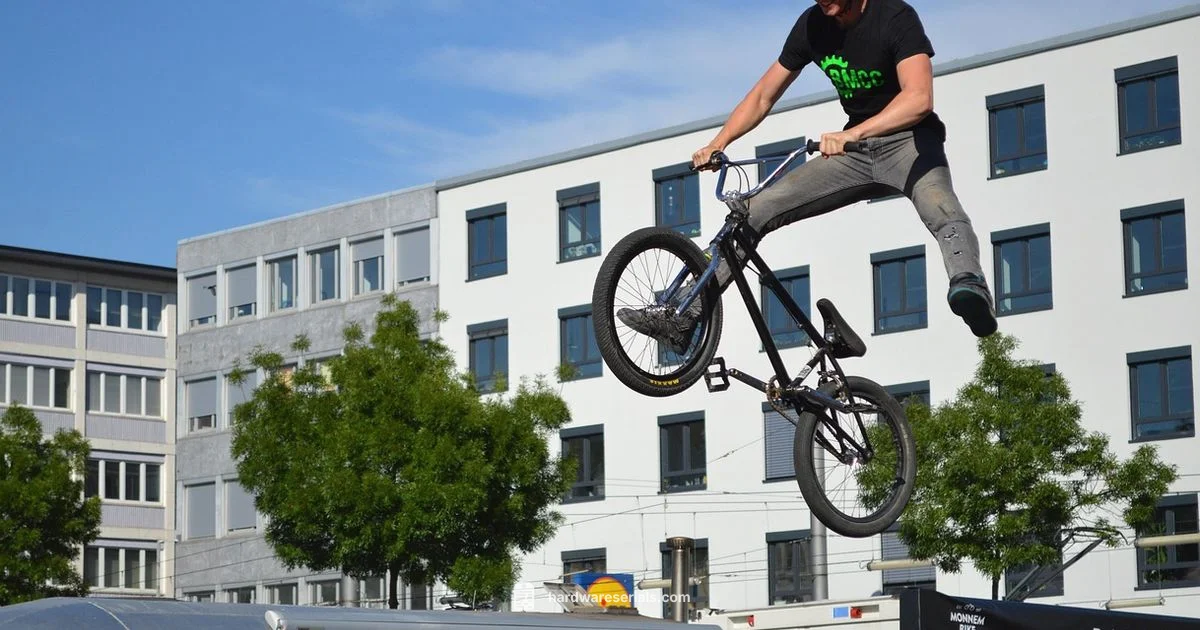 BMX Serial Lookup - Hardware Serials