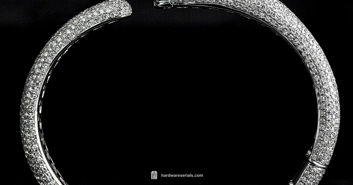 Cartier Serial Check - Hardware Serials