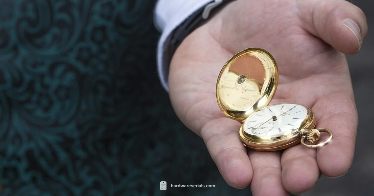 Pocket Watch Serial Search - Hardware Serials