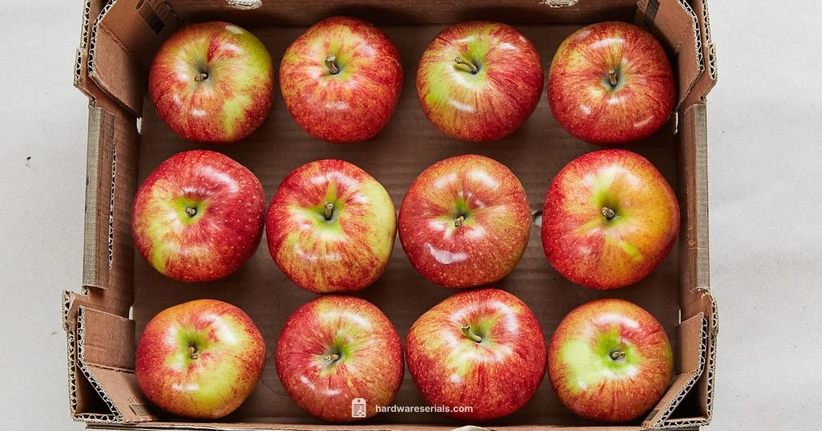 Apple Serial Lookups Apple Serial Lookups - Hardware Serials