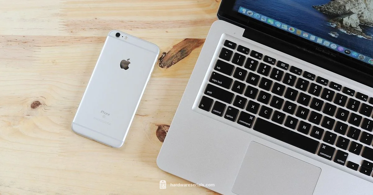 Apple Serial Lookup - Hardware Serials