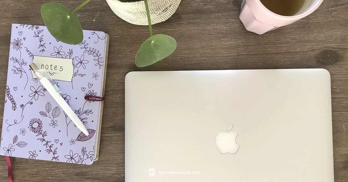 Mac Serial Lookup - Hardware Serials