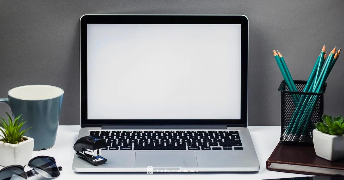 Pencil Serial Lookup - Hardware Serials