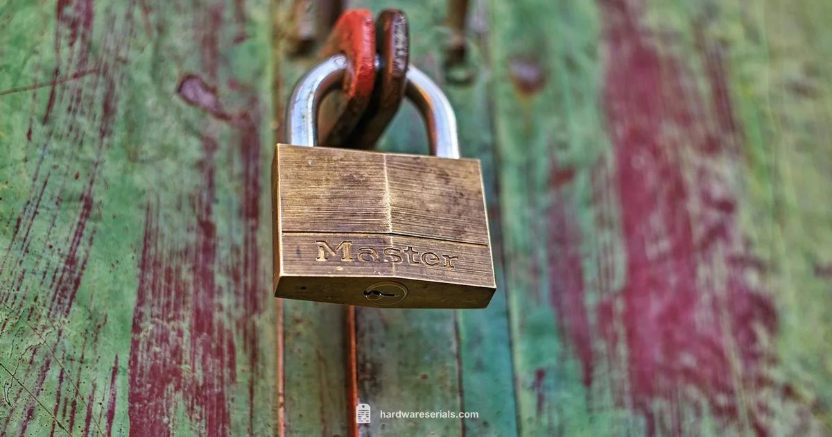 Master Lock Lookup - Hardware Serials