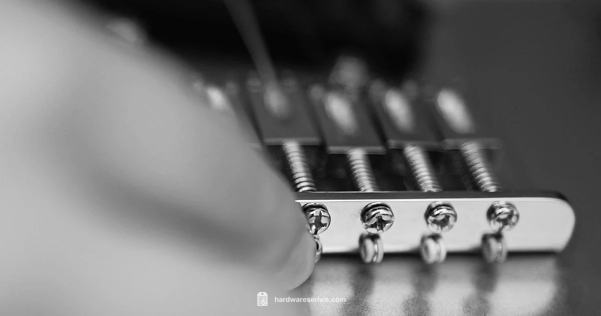 Guitar Serial Lookup - Hardware Serials