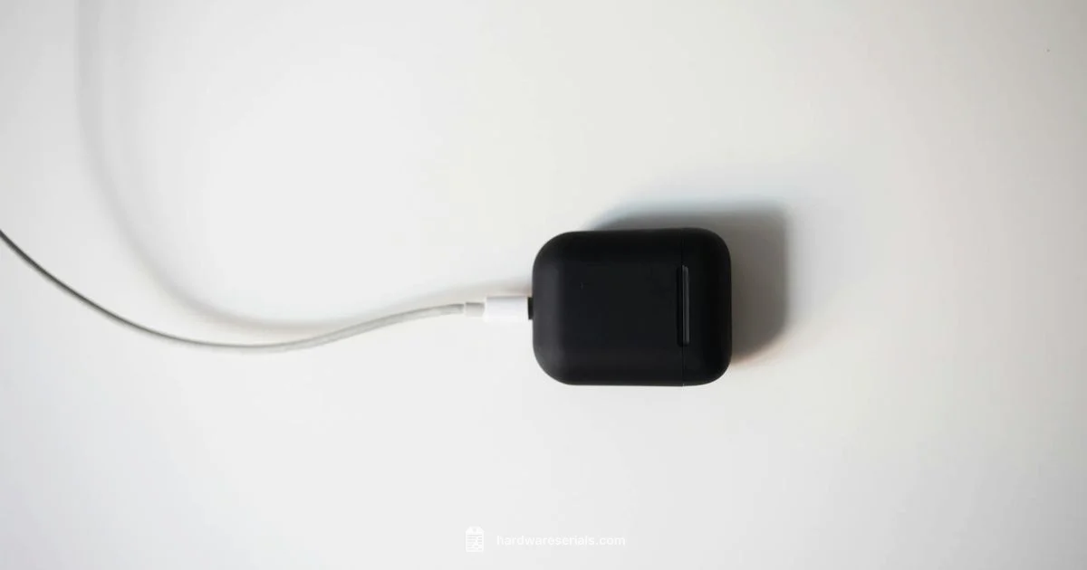 Beats Serial Lookup - Hardware Serials