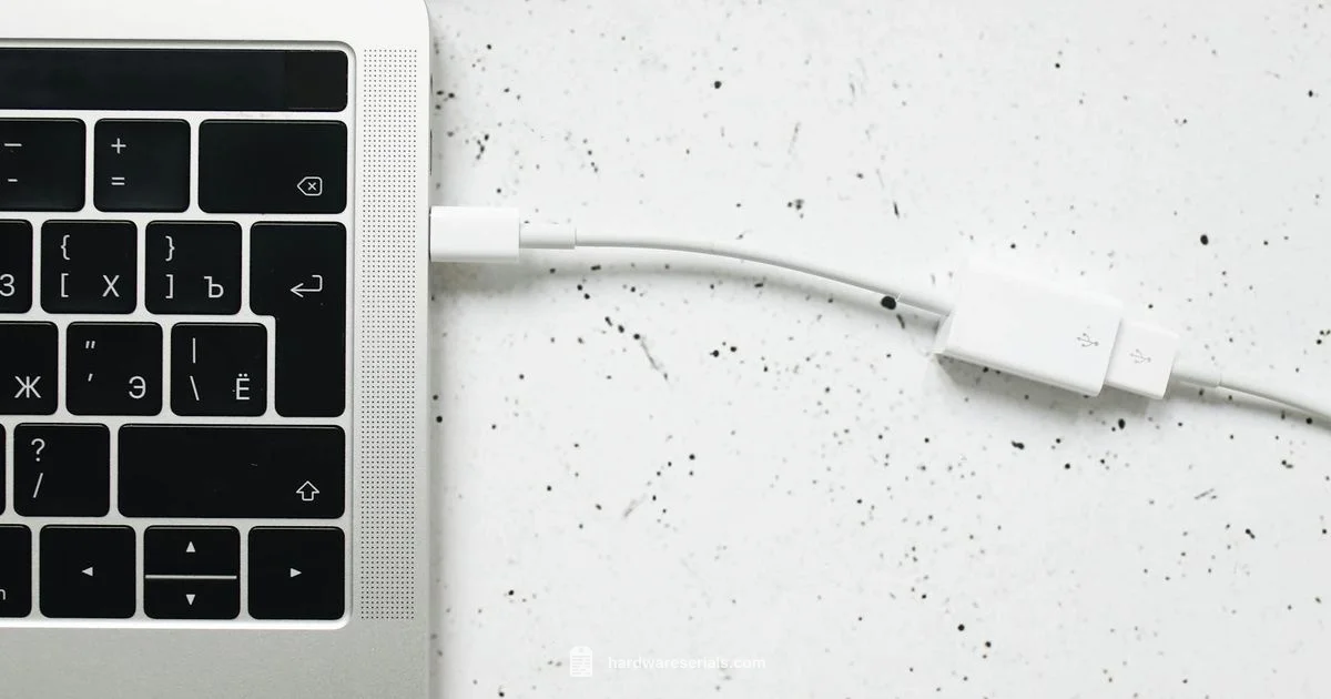 Charger Serial Lookup Charger Serial Lookup - Hardware Serials