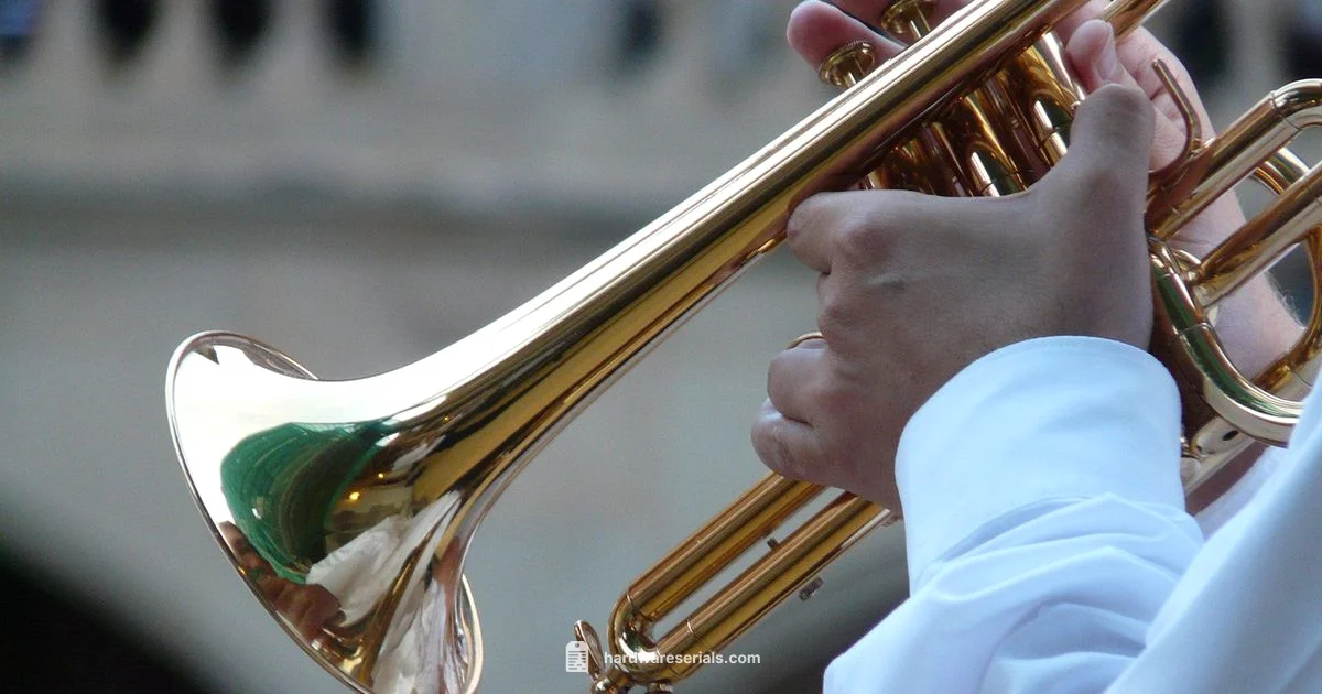 Bach Serial Guide Bach Serial Guide - Hardware Serials