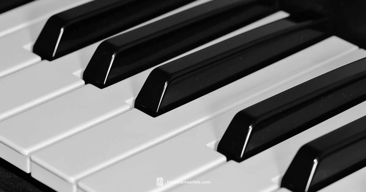 Serials & Verification Serials & Verification - Hardware Serials