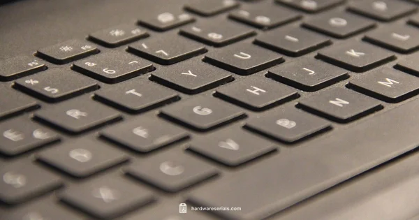 Dell Serial Lookup - Hardware Serials