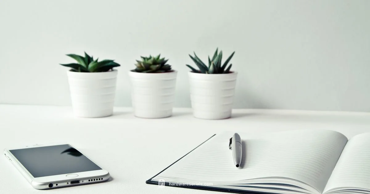 Phone Privacy Guide Phone Privacy Guide - Hardware Serials