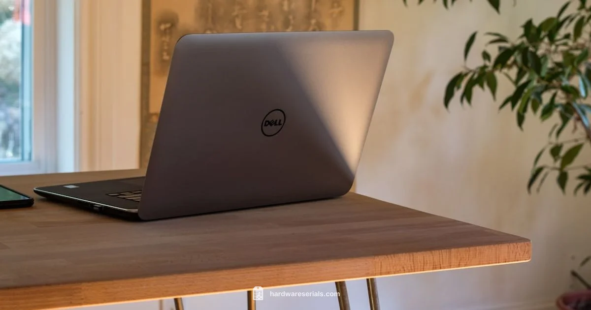 Dell Service Tag Lookup - Hardware Serials