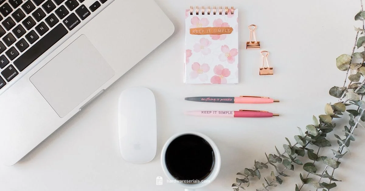 Serial Lookup CMD - Hardware Serials