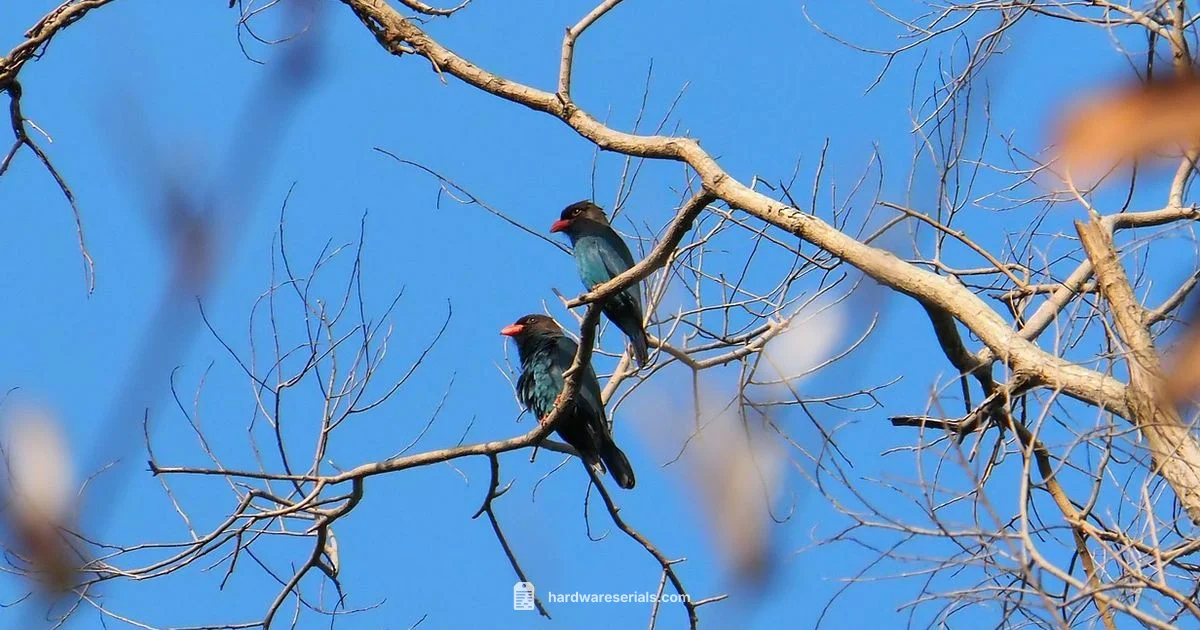 Serial Lookup Guide - Hardware Serials