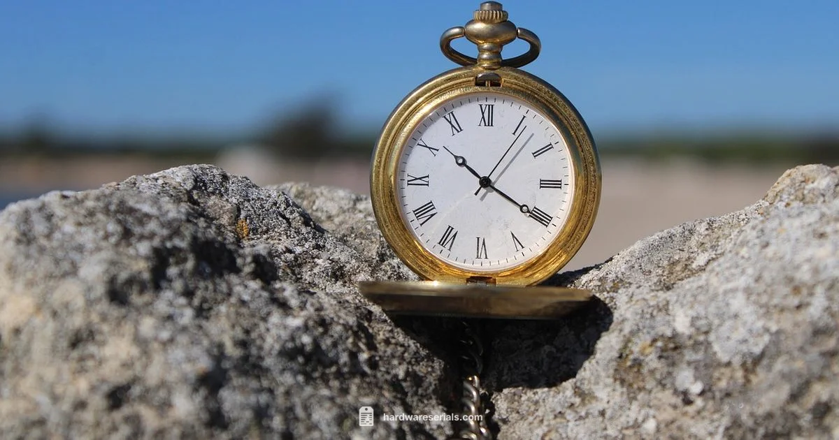 Waltham Serial Lookups - Hardware Serials