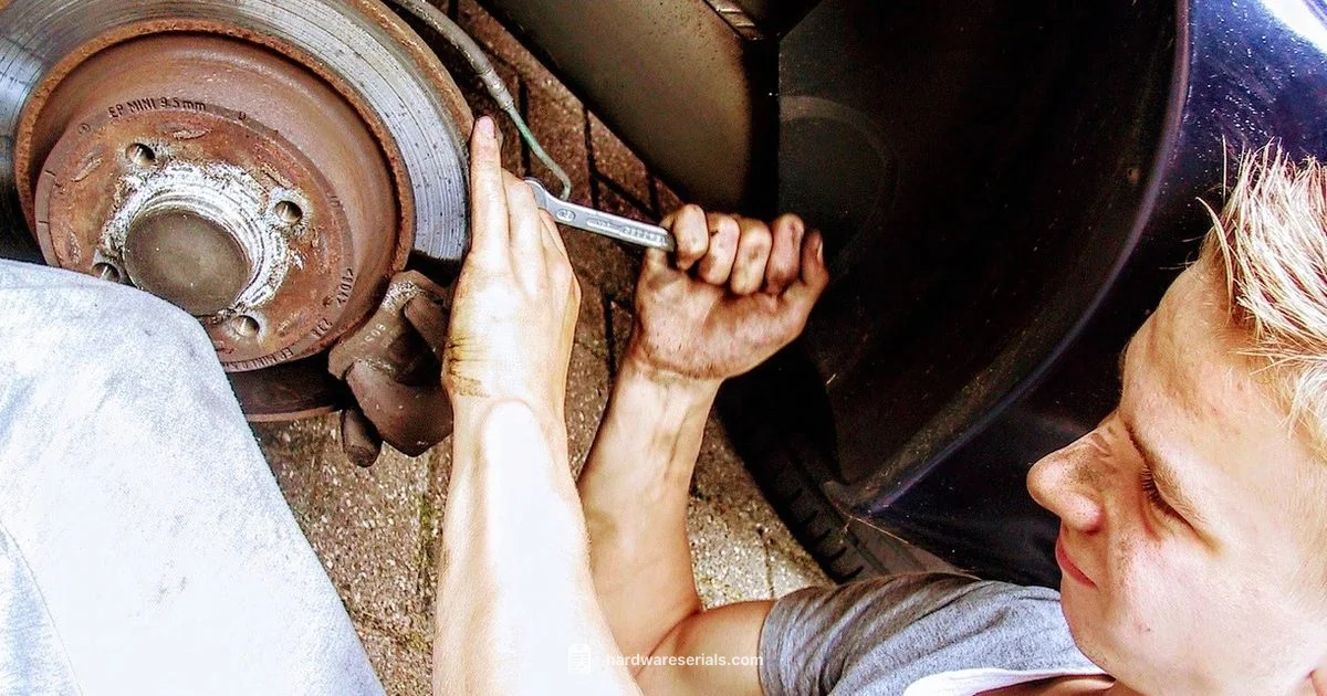 VIN Verification VIN Verification - Hardware Serials