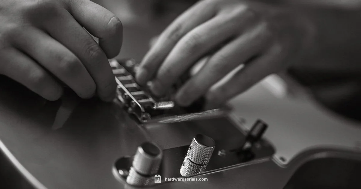 Guitar Serial Lookup - Hardware Serials