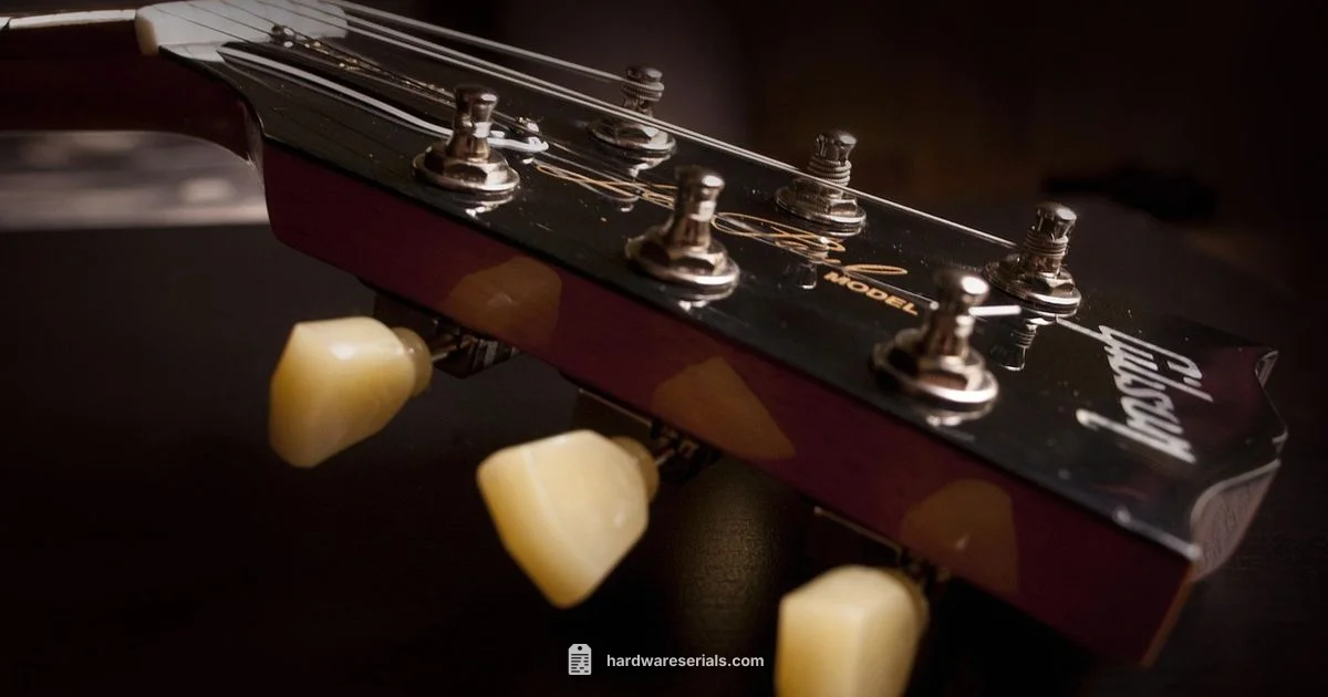 Check Serial Number Guitar - Hardware Serials