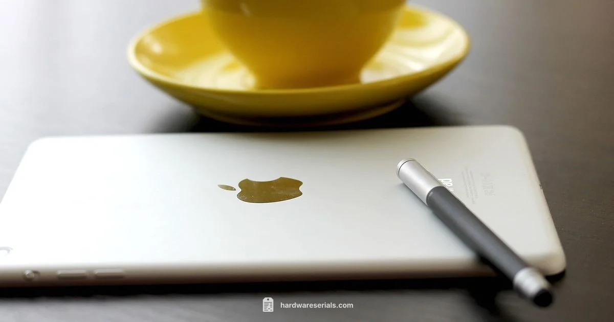 iPad Serial Lookup - Hardware Serials
