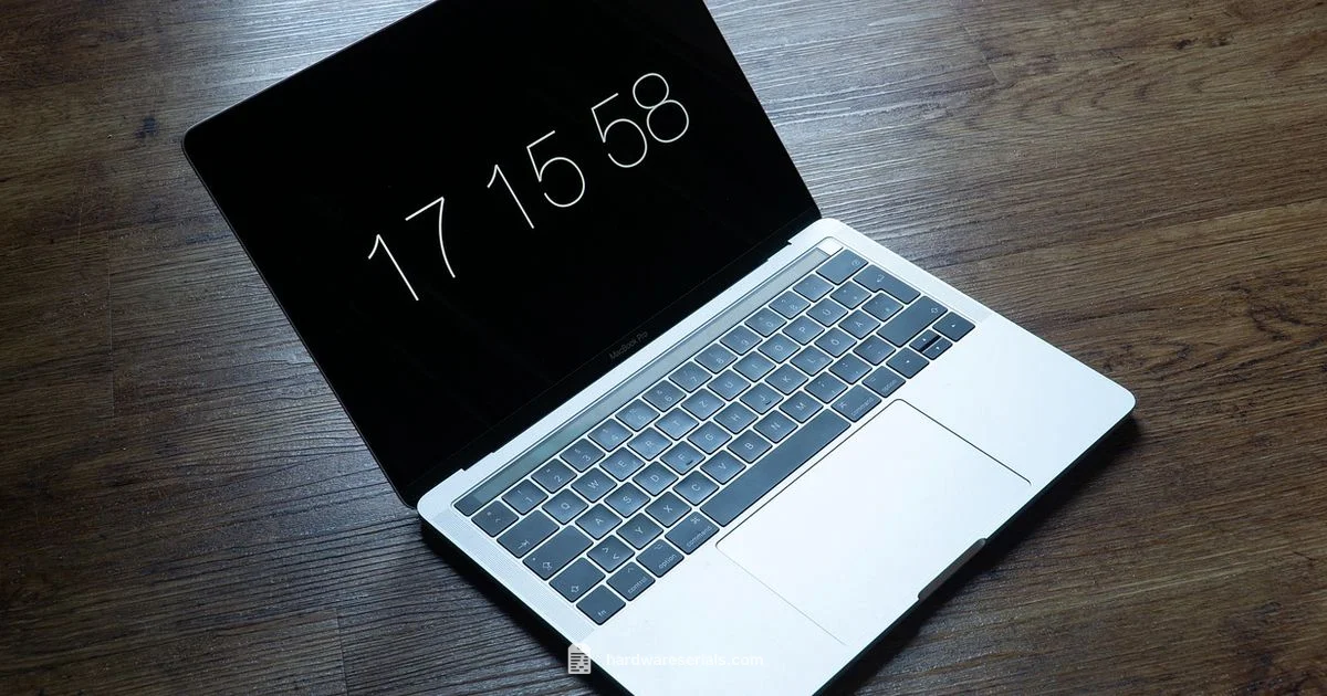 MacBook Serial Lookup - Hardware Serials