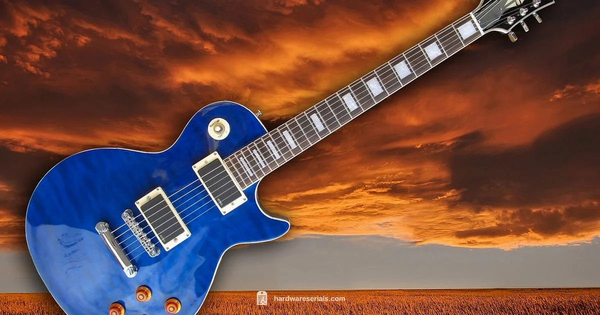 Gibson Serial Lookup - Hardware Serials