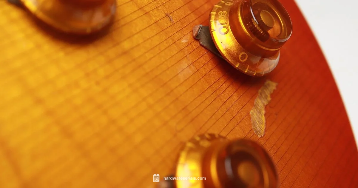 Check Gibson Serial Numbers - Hardware Serials