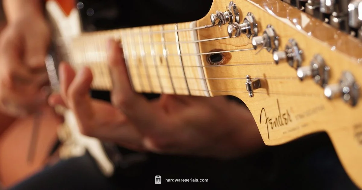 Dating Fender Guitars - Hardware Serials