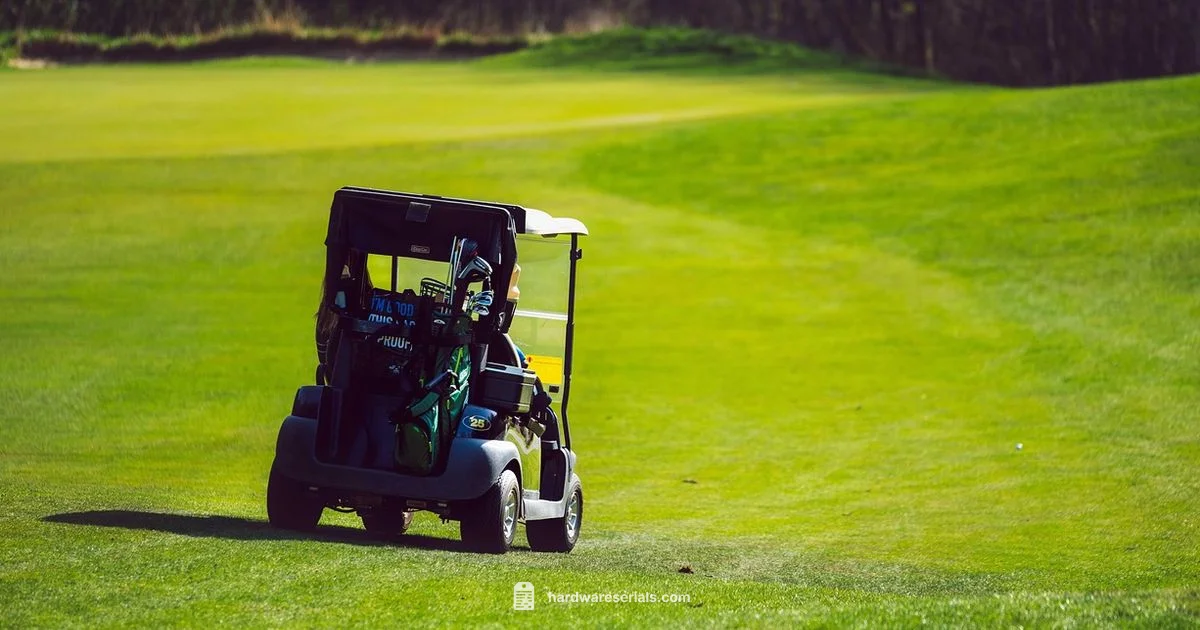 Golf Cart Serial Lookups - Hardware Serials