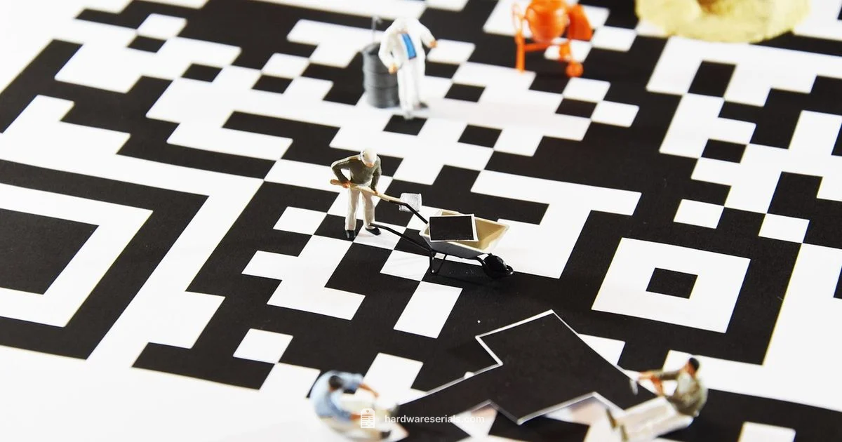 EAN vs Serial EAN vs Serial - Hardware Serials