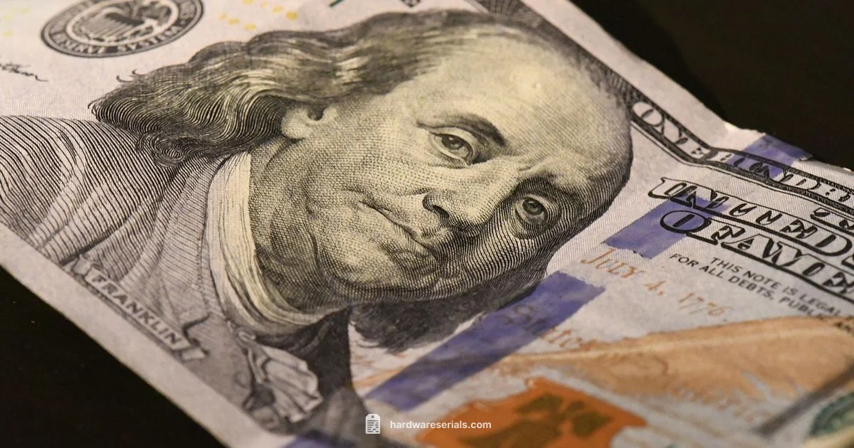 Serial Lookup - Hardware Serials