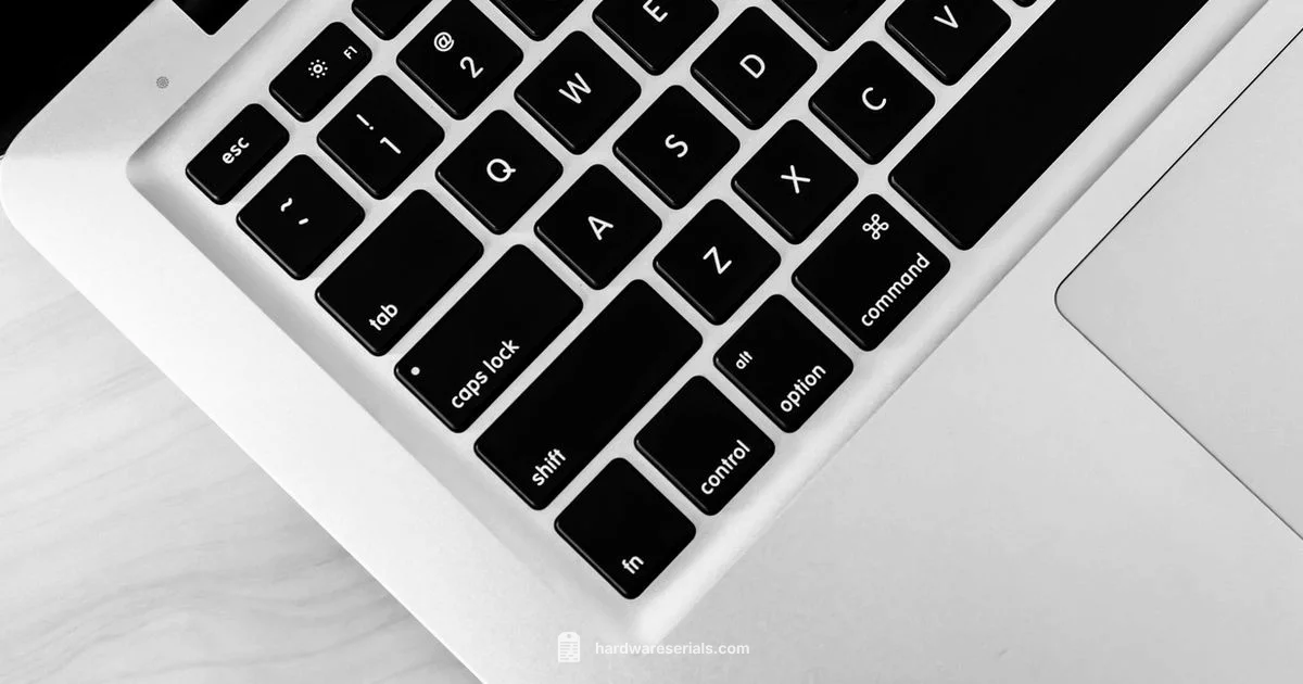 Check Mac Serial - Hardware Serials