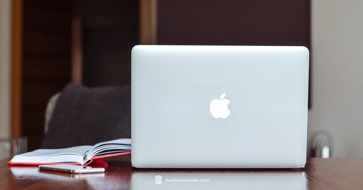 Mac Serial Lookup - Hardware Serials