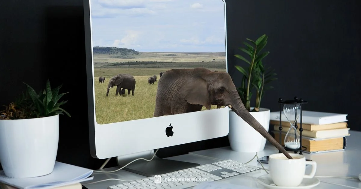 Find Your Serial - Hardware Serials