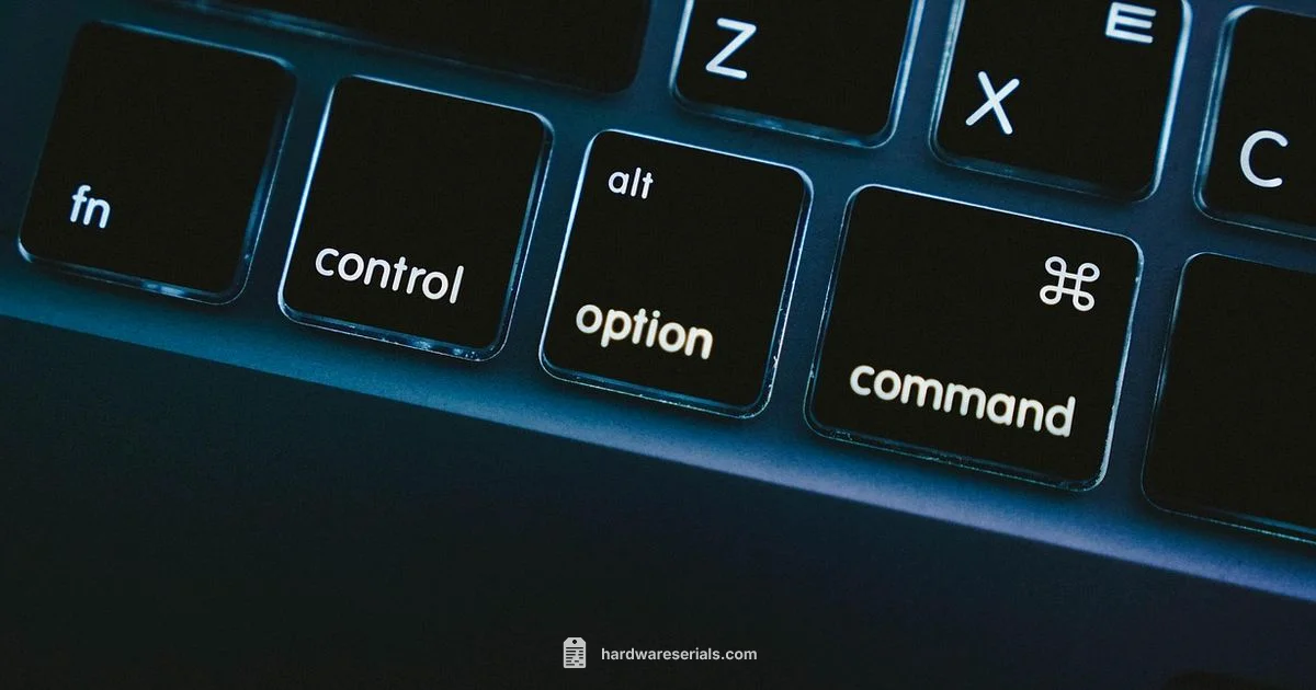 MacBook Serial Lookup - Hardware Serials